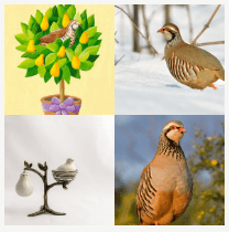 4 bilder 1 wort Level 3407