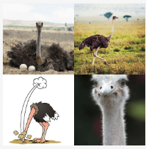 4 bilder 1 wort Level 3408