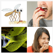 4 bilder 1 wort Level 3433