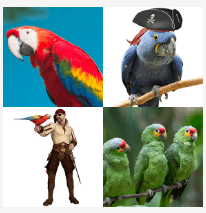 4 bilder 1 wort Level 3469