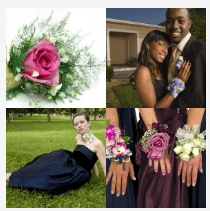 4 bilder 1 wort Level 1508
