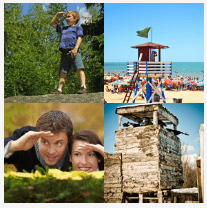 4 bilder 1 wort Level 3536