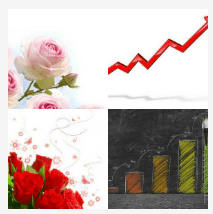 4 bilder 1 wort Level 357