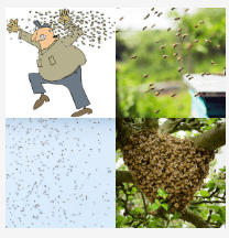 4 bilder 1 wort Level 3619