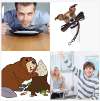 4 bilder 1 wort Level 3639