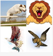 4 bilder 1 wort Level 3662