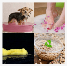 4 bilder 1 wort Level 372