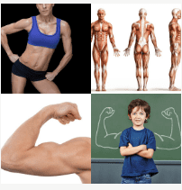 4 bilder 1 wort Level 3736