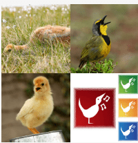 4 bilder 1 wort Level 3770