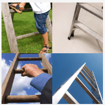 4 bilder 1 wort Level 3783