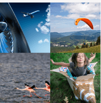 4 bilder 1 wort Level 3804