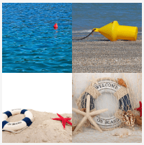4 bilder 1 wort Level 3805