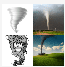 4 bilder 1 wort Level 3808