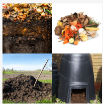 4 bilder 1 wort Level 3817