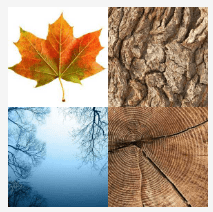 4 bilder 1 wort Level 383
