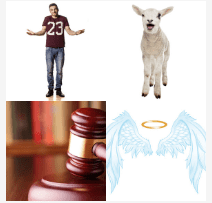 4 bilder 1 wort Level 3882