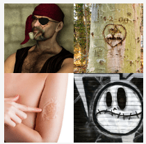 4 bilder 1 wort Level 3924