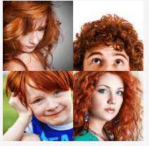 4 bilder 1 wort Level 3950