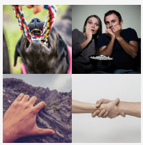 4 bilder 1 wort Level 3964