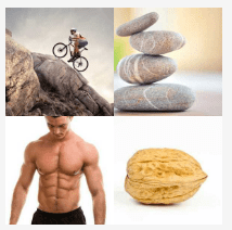 4 bilder 1 wort Level 398