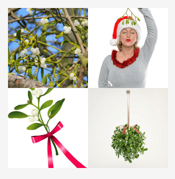 4 bilder 1 wort Level 4034
