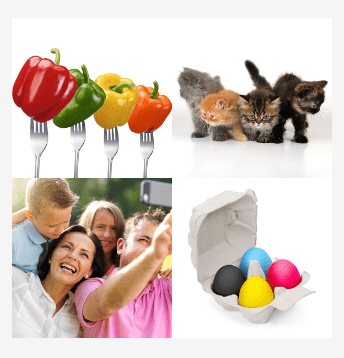 4 bilder 1 wort Level 4047