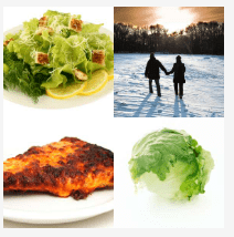 4 bilder 1 wort Level 463