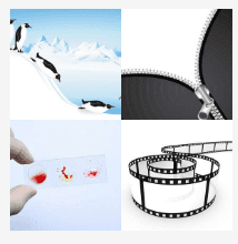 4 bilder 1 wort Level 482
