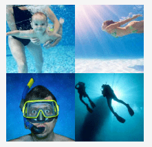 4 bilder 1 wort Level 539
