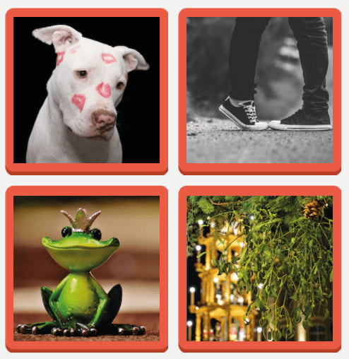 4 bilder 1 wort Level 56