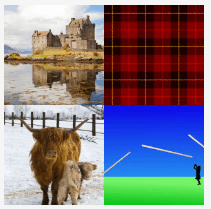 4 bilder 1 wort Level 645