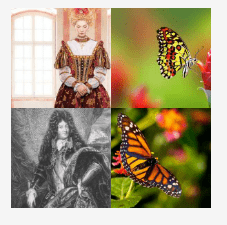4 bilder 1 wort Level 675