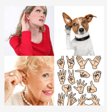 4 bilder 1 wort Level 686