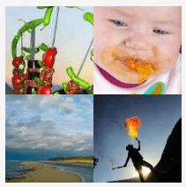 4 bilder 1 wort Level 736