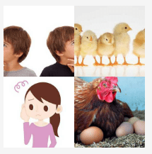 4 bilder 1 wort Level 753