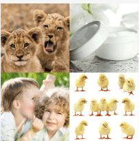 4 bilder 1 wort Level 875