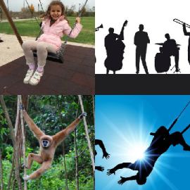 4 bilder 1 wort Level 4105