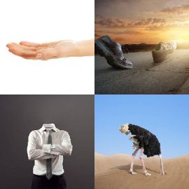 4 bilder 1 wort Level 4192