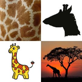 4 bilder 1 wort Level 4232
